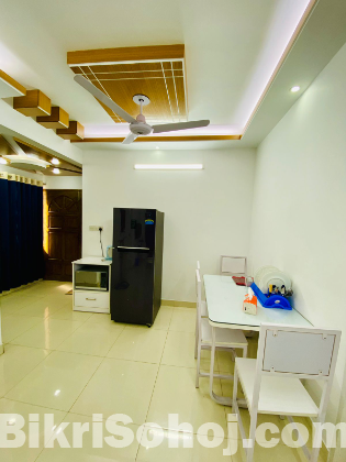 Modern 2BHK Furnished Apartments